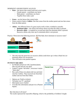 DOMINENT AND RECESSIVE ALLELES
  • Pairs—the factors that control each trait exist in pairs.
       – Female parent—contributes one factor
       – Male parent—contributes one factor
       – Together these make a pair

   •   Genes—are the factors that control traits.
   •   Genes consist of pairs of alleles. One that comes from the mother parent and one that comes
       from the father parent.

   •   Alleles—the different forms of a gene (such as tall or short, wrinkled or smooth).
           • Dominant allele—one whose trait always shows up when the allele is present.
           • Recessive allele—is masked (or covered up) when the dominant allele is present.
              Recessive alleles only show up if a dominant allele is not present.

Practice: Write down the following answers. Will the baby show dominant or recessive traits?



dominant         dominant

recessive         dominant

recessive         recessive
   •   The only time the green box (or recessive allele) could show up is when a black box (or
       dominant allele) was not present.
   •   This will lead us into punnett squares.

PUNNETT SQUARES
  • So Mendel started out with 2 purebred plants.
    One was tall and one was short.
  • Capital T means “tall allele”, lowercase t means
    “short allel”
  • But, each of those two plants (tall one and short
    one) has 2 alleles. They received one from their
    mother and one from their father.

   •   Options are T(tall) or t(short)
   •   Tall plant was TT –purebred
   •   Short plant was tt--hybrid
   •   You take this information and put it in a Punnett
       Square.


   But what does it all mean?
   The results represent the 4 possible offspring; which is the probability of children’s height.
 