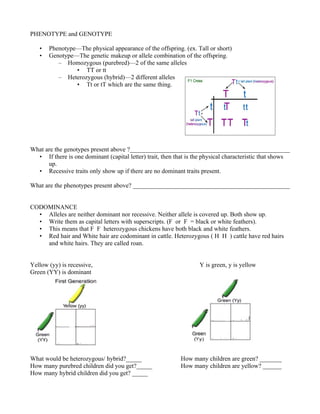 PHENOTYPE and GENOTYPE

   •   Phenotype—The physical appearance of the offspring. (ex. Tall or short)
   •   Genotype—The genetic makeup or allele combination of the offspring.
          – Homozygous (purebred)—2 of the same alleles
                • TT or tt
          – Heterozygous (hybrid)—2 different alleles
                • Tt or tT which are the same thing.




What are the genotypes present above ?___________________________________________________
  • If there is one dominant (capital letter) trait, then that is the physical characteristic that shows
      up.
  • Recessive traits only show up if there are no dominant traits present.

What are the phenotypes present above? __________________________________________________


CODOMINANCE
  • Alleles are neither dominant nor recessive. Neither allele is covered up. Both show up.
  • Write them as capital letters with superscripts. (F or F = black or white feathers).
  • This means that F F heterozygous chickens have both black and white feathers.
  • Red hair and White hair are codominant in cattle. Heterozygous ( H H ) cattle have red hairs
    and white hairs. They are called roan.


Yellow (yy) is recessive,                                          Y is green, y is yellow
Green (YY) is dominant




What would be heterozygous/ hybrid?_____                    How many children are green? _______
How many purebred children did you get?_____                How many children are yellow? ______
How many hybrid children did you get? _____
 