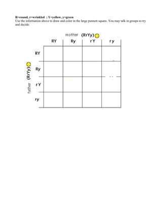 R=round, r=wrinkled : Y=yellow, y=green
Use the information above to draw and color in the large punnett square. You may talk in groups to try
and decide.
 