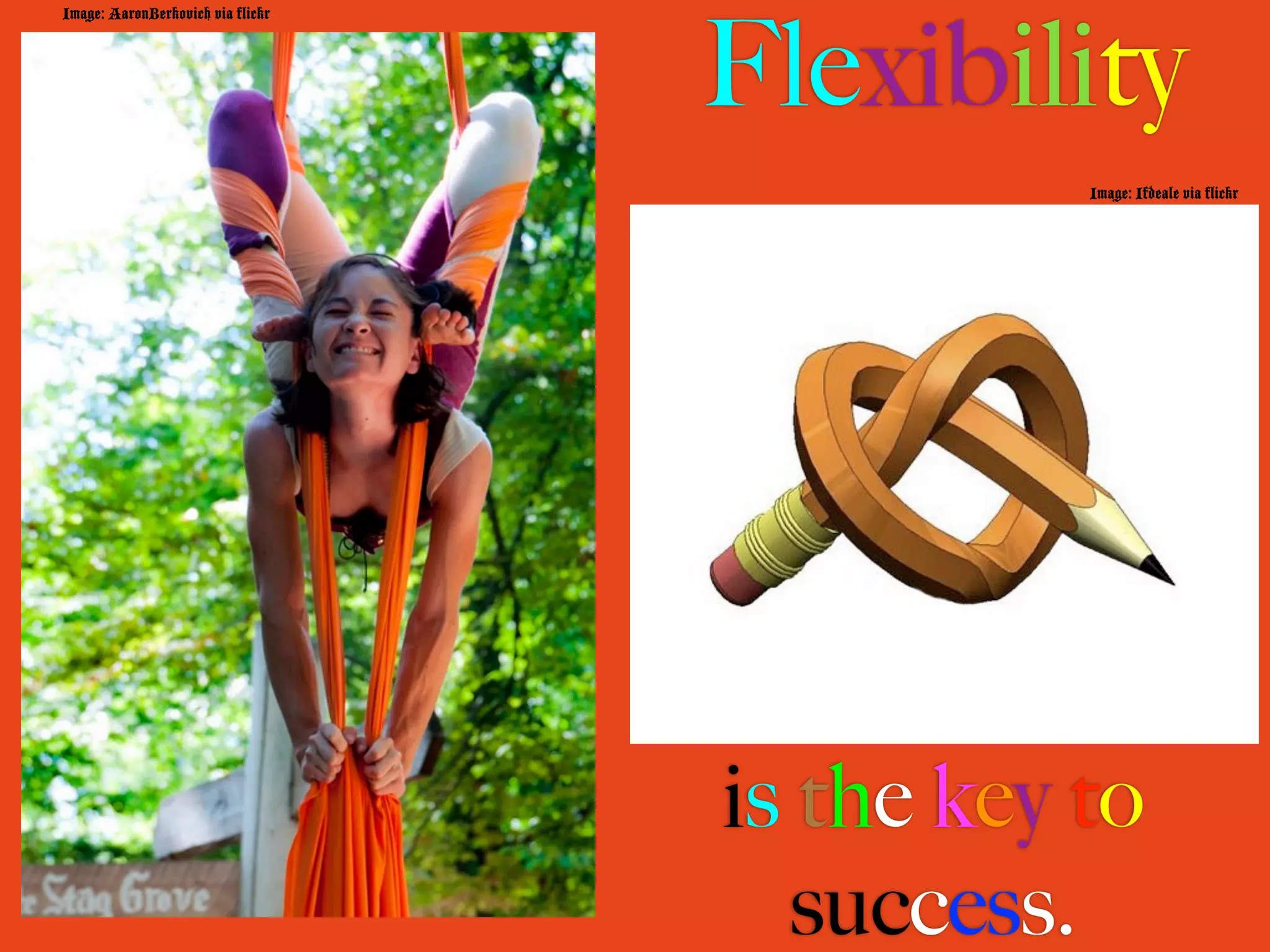Flexibility
Image: AaronBerkovich via flickr




                                              Image: Ifdeale via flickr




                                   is the key to
                                      success.
 
