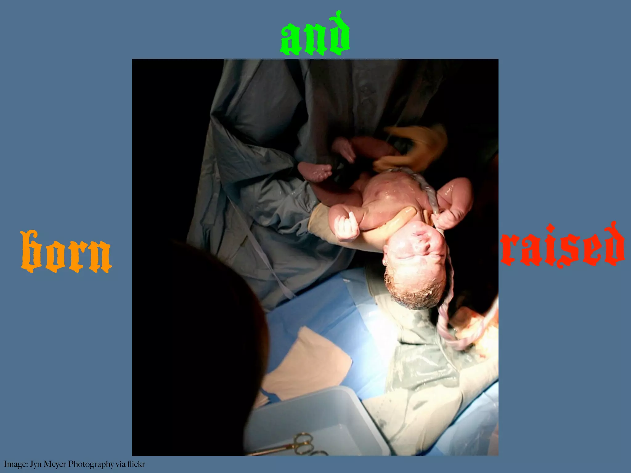 and


    born                                       raised


Image: Jyn Meyer Photography via ﬂickr
 