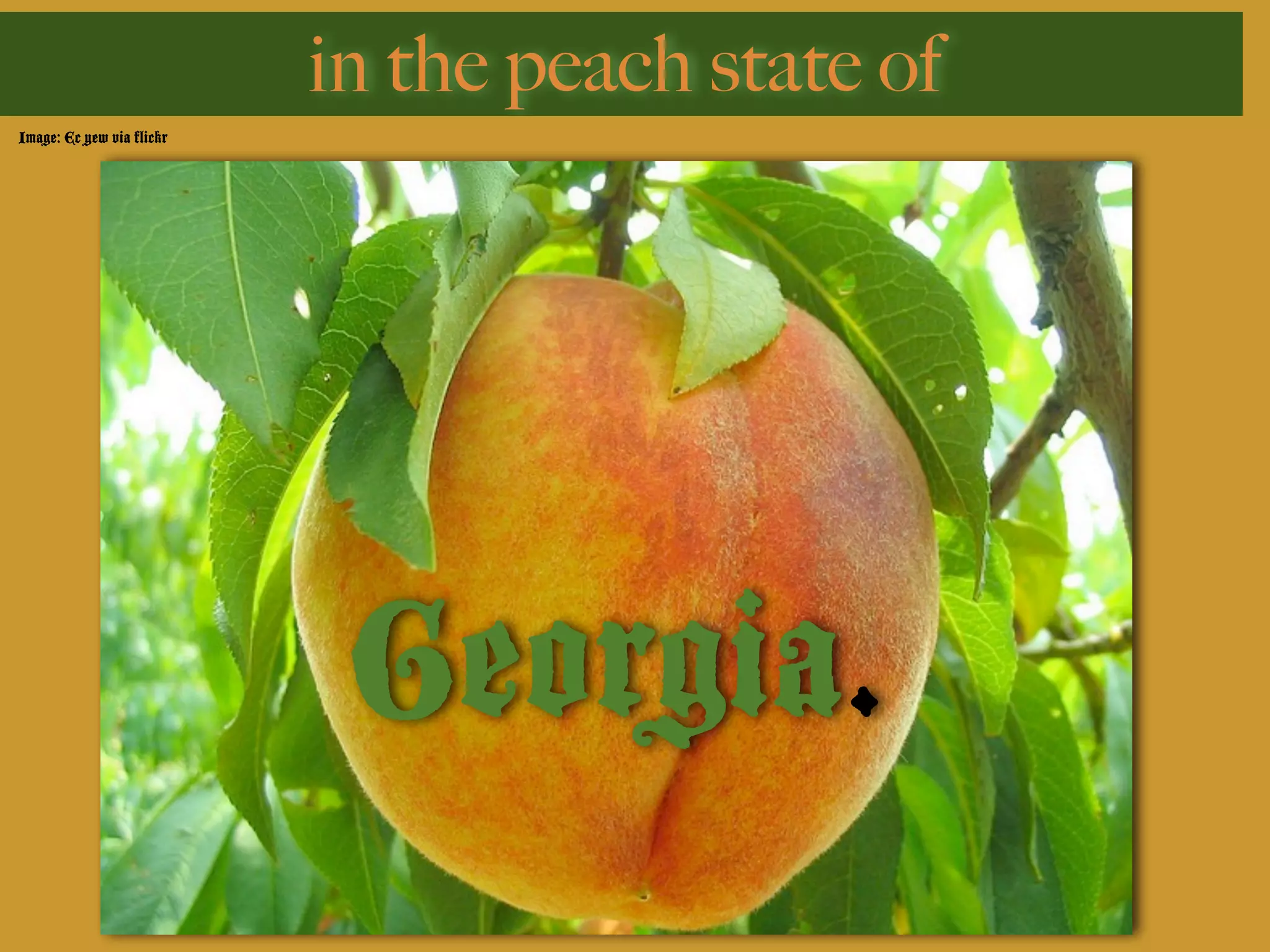in the peach state of
Image: Ec yew via flickr




                            Georgia.
 