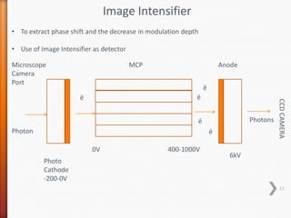 Image Intensifier
• To extract phase shift and the decrease in modulation depth
• Use of Image Intensifier as detector
Microscope
Camera
Port
Photon
Photo
Cathode
-200-0V
MCP Anode
0V 400-1000V
6kV
Photons
CCDCAMERA
ē
ē
ē
ē
ē
12
 