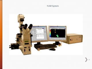 FLIM System
16
 