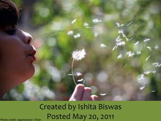 Created by Ishita BiswasPosted May 20, 2011Photo credit: ngairenaran-Flickr