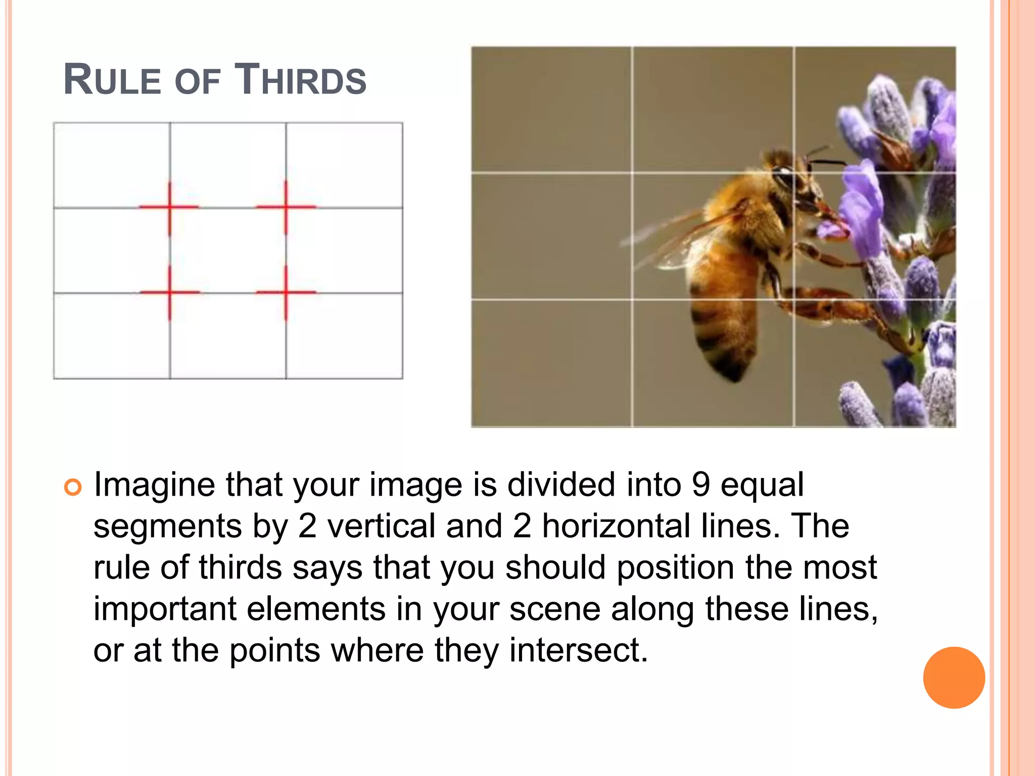 RULE OF THIRDS




   Imagine that your image is divided into 9 equal
    segments by 2 vertical and 2 horizontal lines. The
    rule of thirds says that you should position the most
    important elements in your scene along these lines,
    or at the points where they intersect.
 