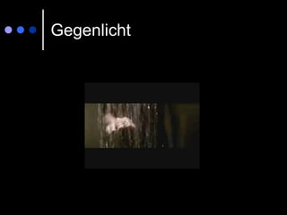 Gegenlicht 