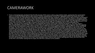 Example Camera Plot Film Film analysis | PPT