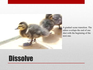 Dissolve
A gradual scene transition. The
editor overlaps the end of one
shot with the beginning of the
next one.
 