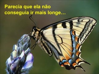 Parecia que ela não conseguia ir mais longe…   