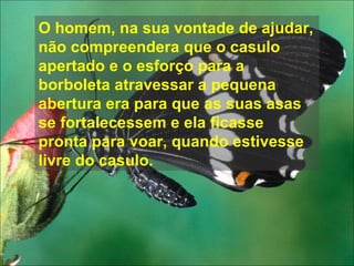 Eu pedi forças... O homem, na sua vontade de ajudar, não compreendera que o casulo apertado e o esforço para a borboleta atravessar a pequena abertura era para que as suas asas se fortalecessem e ela ficasse pronta para voar, quando estivesse livre do casulo. 
