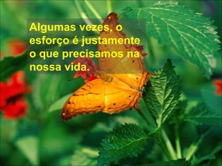 Algumas vezes, o esforço é justamente o que precisamos na nossa vida. 