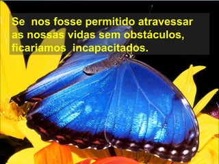 Se  nos fosse permitido atravessar as nossas vidas sem obstáculos, ficariamos  incapacitados. 