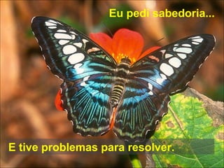 Eu pedi sabedoria... E tive problemas para resolver. 