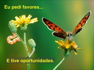 Eu pedi favores... E tive oportunidades. 