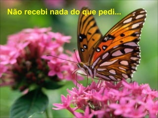 Não recebi nada do que pedi... 