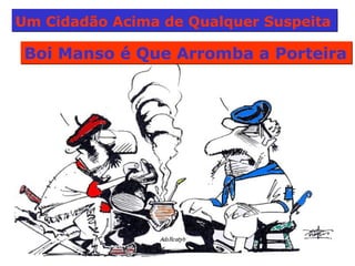 Um Cidadão Acima de Qualquer Suspeita   Boi Manso é Que Arromba a Porteira  