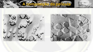 A composição da película

11

 