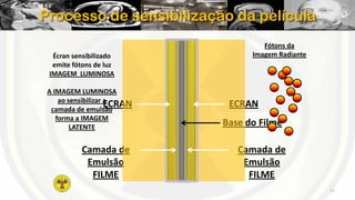 Processo de sensibilização da película
Écran sensibilizado
emite fótons de luz
IMAGEM LUMINOSA
A IMAGEM LUMINOSA
ao sensibilizar a
ECRAN
camada de emulsão
forma a IMAGEM
LATENTE

Camada de
Emulsão
FILME

Fótons da
Imagem Radiante

ECRAN
Base do Filme
Camada de
Emulsão
FILME
17

 