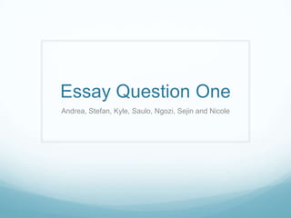 Essay Question One Andrea, Stefan, Kyle, Saulo, Ngozi, Sejin and Nicole 