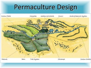 Permaculture Design 
