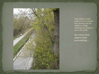 Most children would prefer to be in a wooded area, playing cops and robbers or simply climbing trees without a care in the world.But others must adapt to their surroundings….. 