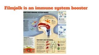 Filmjolk is an immune system booster
 