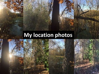 My location photos
 