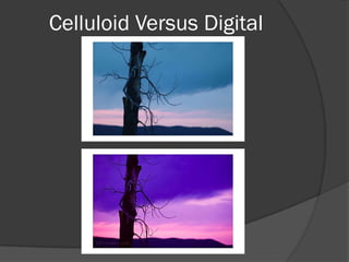 Celluloid Versus Digital
 