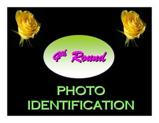th
4

Round

PHOTO
IDENTIFICATION

 