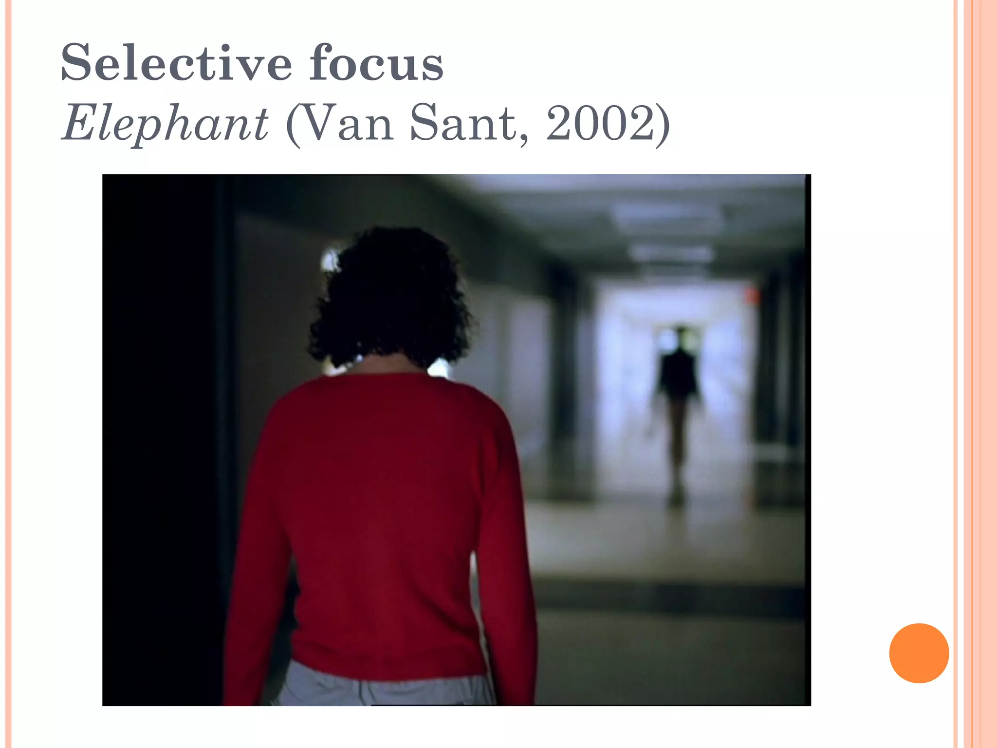 Selective focus 
Elephant (Van Sant, 2002) 
 