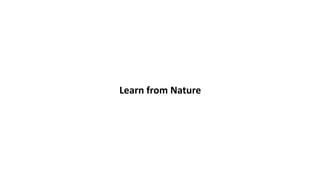 Learn from Nature
 