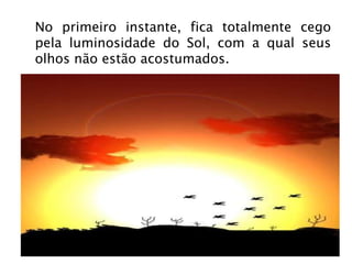 No primeiro instante, fica totalmente cego pela luminosidade do Sol, com a qual seus olhos não estão acostumados. 