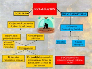 CONCEPTOIDEAS DARWINISTASConjunto de Experiencias Sociales de IndividuosDiferencias  Personales y SocialesDesarrolla su potencial humanoAprender pautas culturalesCausas BiológicasInstintosPersonal