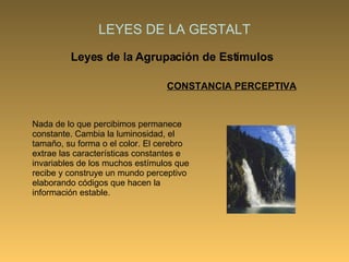 LEYES DE LA GESTALT Leyes de la Agrupación de Estímulos CONSTANCIA PERCEPTIVA Nada de lo que percibimos permanece constante. Cambia la luminosidad, el tamaño, su forma o el color. El cerebro extrae las características constantes e invariables de los muchos estímulos que recibe y construye un mundo perceptivo elaborando códigos que hacen la información estable.  