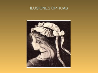ILUSIONES ÓPTICAS 