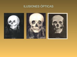 ILUSIONES ÓPTICAS 