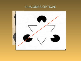 ILUSIONES ÓPTICAS 