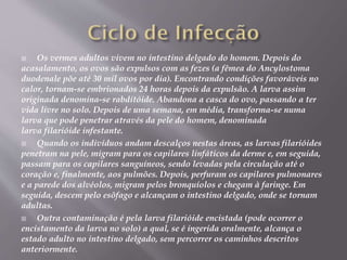  Os vermes adultos vivem no intestino delgado do homem. Depois do
acasalamento, os ovos são expulsos com as fezes (a fêmea do Ancylostoma
duodenale põe até 30 mil ovos por dia). Encontrando condições favoráveis no
calor, tornam-se embrionados 24 horas depois da expulsão. A larva assim
originada denomina-se rabditóide. Abandona a casca do ovo, passando a ter
vida livre no solo. Depois de uma semana, em média, transforma-se numa
larva que pode penetrar através da pele do homem, denominada
larva filarióide infestante.
 Quando os indivíduos andam descalços nestas áreas, as larvas filarióides
penetram na pele, migram para os capilares linfáticos da derme e, em seguida,
passam para os capilares sanguíneos, sendo levadas pela circulação até o
coração e, finalmente, aos pulmões. Depois, perfuram os capilares pulmonares
e a parede dos alvéolos, migram pelos bronquíolos e chegam à faringe. Em
seguida, descem pelo esôfago e alcançam o intestino delgado, onde se tornam
adultas.
 Outra contaminação é pela larva filarióide encistada (pode ocorrer o
encistamento da larva no solo) a qual, se é ingerida oralmente, alcança o
estado adulto no intestino delgado, sem percorrer os caminhos descritos
anteriormente.
 