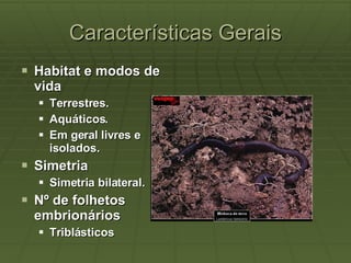 Características Gerais Habitat e modos de vida  Terrestres.  Aquáticos.  Em geral livres e isolados. Simetria  Simetria bilateral. Nº de folhetos embrionários  Triblásticos 