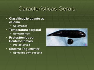 Características Gerais Classificação quanto ao celoma  Celomados Temperatura corporal  Ectotérmicos Protostômios ou Deuterostômios  Protostômios Sistema Tegumentar  Epiderme com cutícula 