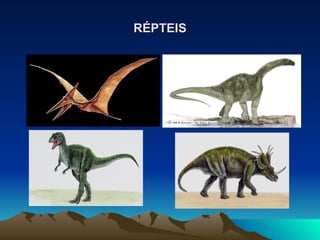 RÉPTEIS 