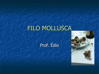 FILO MOLLUSCA Prof. Édio 