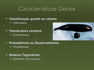 Características Gerais
 Classificação quanto ao celoma
   Celomados;


 Temperatura corporal
   Ectotérmicos;


 Protostômios ou Deuterostômios
   Protostômios;


 Sistema Tegumentar
   Epiderme com cutícula;
 