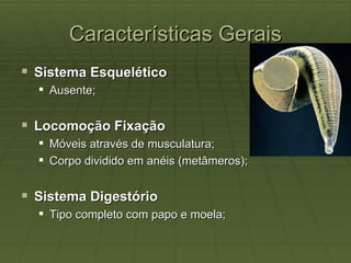 Características Gerais
 Sistema Esquelético
   Ausente;


 Locomoção Fixação
   Móveis através de musculatura;
   Corpo dividido em anéis (metâmeros);


 Sistema Digestório
   Tipo completo com papo e moela;
 