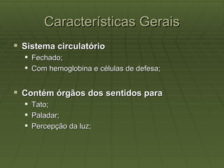Características Gerais
 Sistema circulatório
   Fechado;
   Com hemoglobina e células de defesa;


 Contém órgãos dos sentidos para
     Tato;
     Paladar;
     Percepção da luz;
 