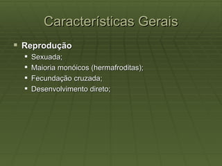 Características Gerais
 Reprodução
     Sexuada;
     Maioria monóicos (hermafroditas);
     Fecundação cruzada;
     Desenvolvimento direto;
 