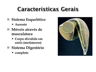    Sistema Esquelético
       Ausente
   Móveis através de
    musculatura
       Corpo dividido em
        anéis (metâmeros)
   Sistema Digestório
       completo
 