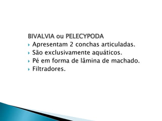 BIVALVIA ou PELECYPODA
 Apresentam 2 conchas articuladas.
 São exclusivamente aquáticos.
 Pé em forma de lâmina de machado.
 Filtradores.
 