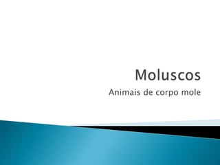 Animais de corpo mole
 